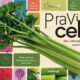 pravi celer