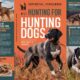 hunting dogs