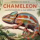 chameleónovité